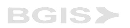 BGIS_logo-removebg-preview (1)